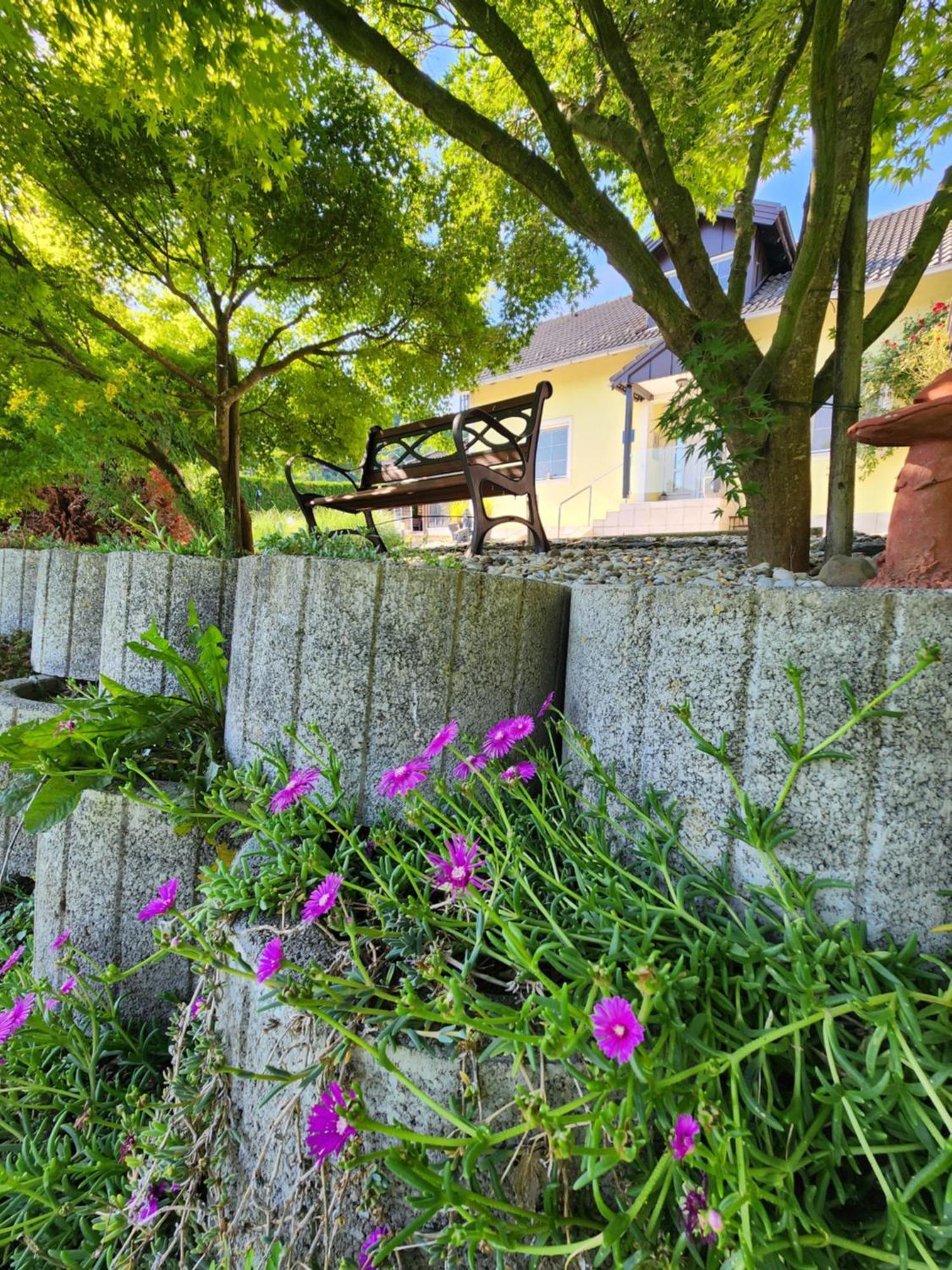Villa Spa Magic Tuheljske Toplice Exterior foto
